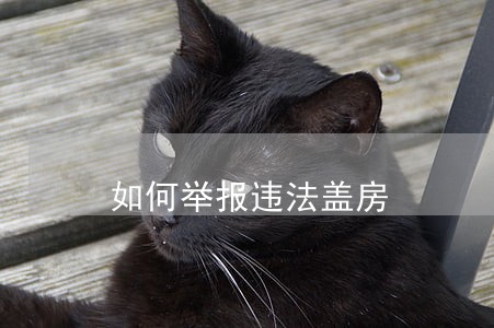 如何举报违法盖房 如何举报违法盖房