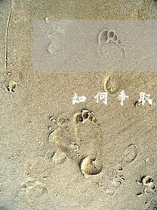如何争取判缓刑 如何争取判缓刑