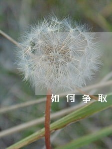 如何争取只还本金不还利息 如何争取只还本金不还利息