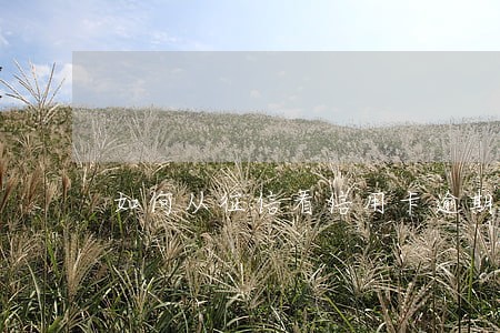 如何从征信看信用卡逾期记录 如何从征信看信用卡逾期记录