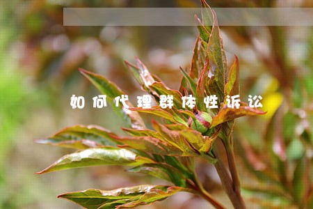 如何代理群体性诉讼 如何代理群体性诉讼