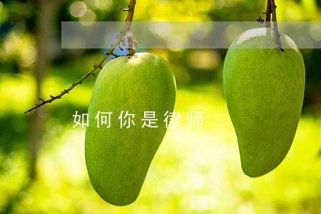 如何你是律师