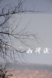 如何促进司法独立 如何促进司法独立