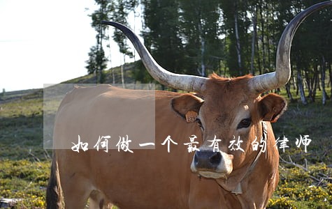 如何做一个最有效的律师 如何做一个最有效的律师