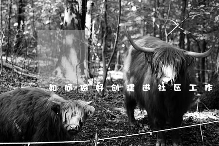 如何做好创建进社区工作 如何做好创建进社区工作
