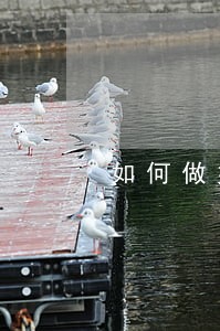 如何做好律师法律援助义务 如何做好律师法律援助义务