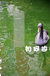 如何做好法律咨询软件 如何做好法律咨询软件