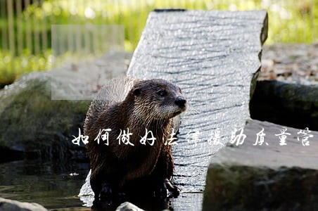 如何做好法律援助质量管理