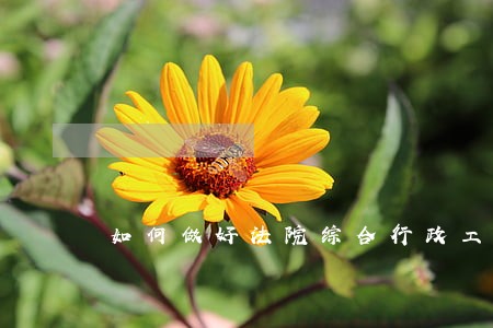 如何做好法院综合行政工作总结