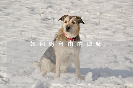 如何做自由的律师 如何做自由的律师