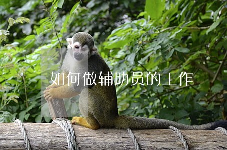 如何做辅助员的工作