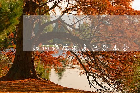 如何停掉利息只还本金 如何停掉利息只还本金