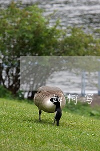 如何写中级人民法院诉讼书 如何写中级人民法院诉讼书