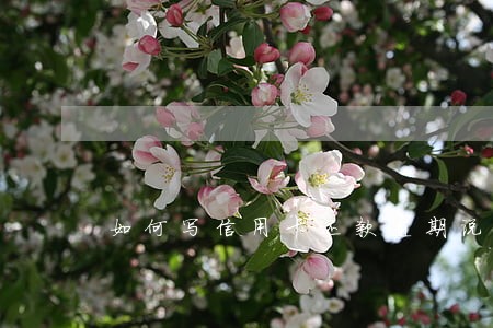 如何写信用卡还款逾期说明书 如何写信用卡还款逾期说明书