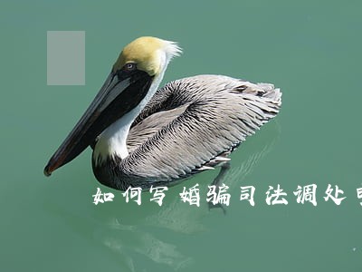 如何写婚骗司法调处申请书 如何写婚骗司法调处申请书