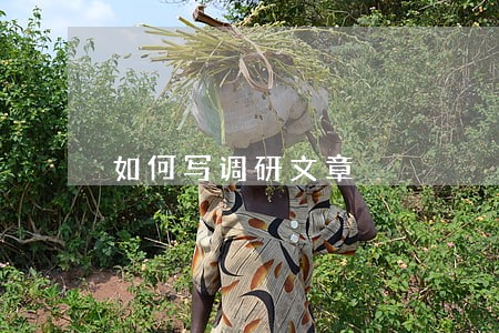 如何写调研文章