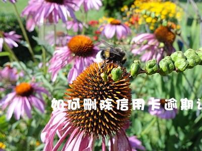 如何删除信用卡逾期记录 如何删除信用卡逾期记录