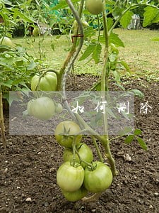 如何删除被法院限制的高消费 如何删除被法院限制的高消费