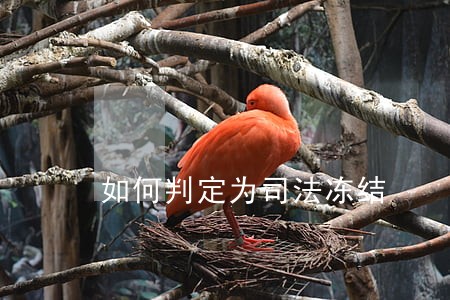 如何判定为司法冻结 如何判定为司法冻结