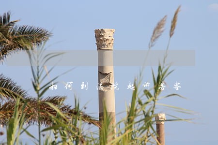 如何到法院起诉房客 如何到法院起诉房客