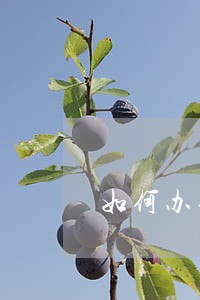 如何办理法制日报公告 如何办理法制日报公告