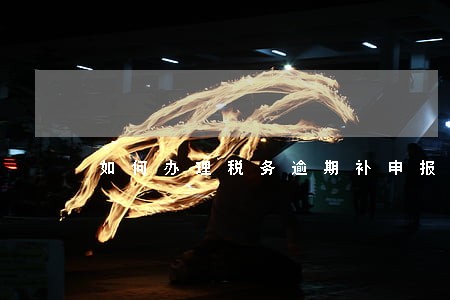 如何办理税务逾期补申报6 如何办理税务逾期补申报6
