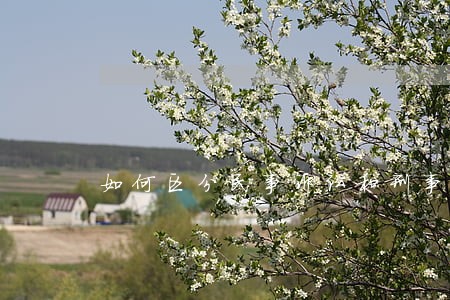 如何区分民事诉讼和刑事诉讼 如何区分民事诉讼和刑事诉讼