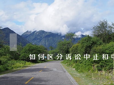 如何区分诉讼中止和中断 如何区分诉讼中止和中断