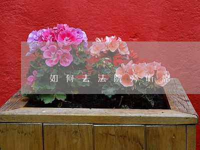 如何去法院旁听席 如何去法院旁听席