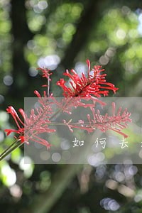 如何去法院起诉医院 如何去法院起诉医院