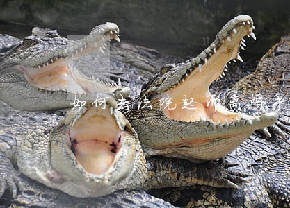 如何去法院起诉离婚手续 如何去法院起诉离婚手续