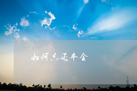 如何只还本金 如何只还本金