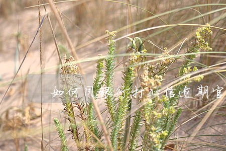 如何同银行打征信逾期官司 如何同银行打征信逾期官司