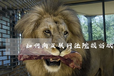如何向互联网法院投诉状
