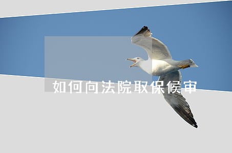 如何向法院取保候审 如何向法院取保候审