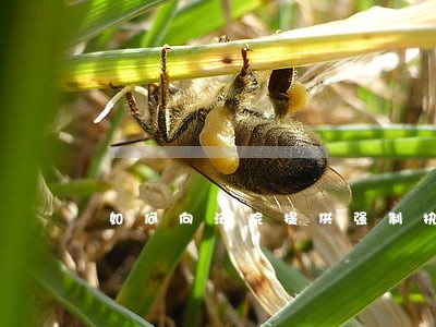 如何向法院提供强制执行 如何向法院提供强制执行