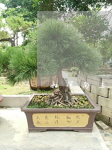 如何向法院提起诉讼如果有借条的 如何向法院提起诉讼如果有借条的