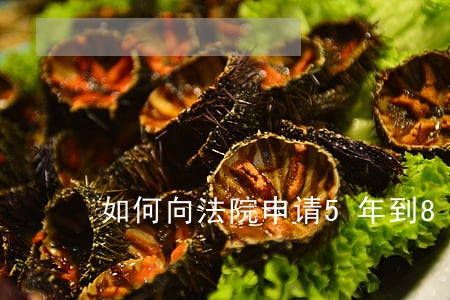 如何向法院申请5年到8年的租金 如何向法院申请5年到8年的租金