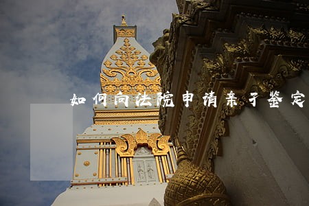 如何向法院申请亲孑鉴定定