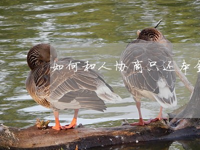如何和人协商只还本金 如何和人协商只还本金