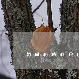 如何和协商只还本金