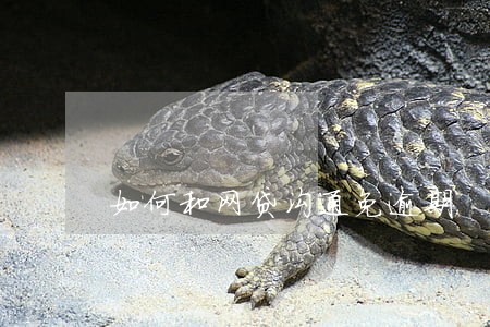 如何和网贷沟通免逾期 如何和网贷沟通免逾期