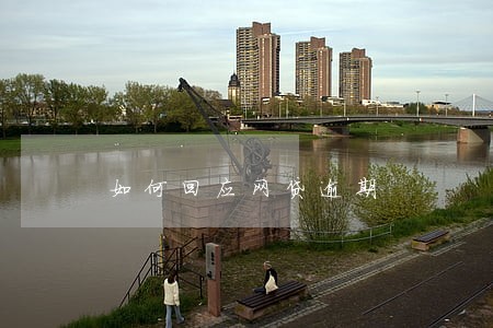 如何回应网贷逾期