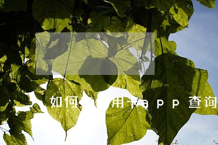 如何在信用卡app查询逾期 如何在信用卡app查询逾期