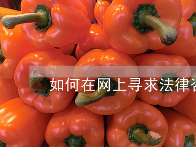如何在网上寻求法律咨询 如何在网上寻求法律咨询