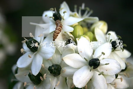 如何处理个人信用逾期 如何处理个人信用逾期