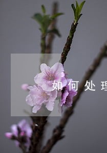 如何处理网贷逾期律师函