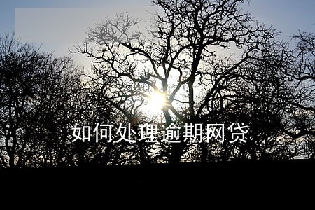 如何处理逾期网贷 如何处理逾期网贷