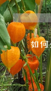 如何处理银行逾期