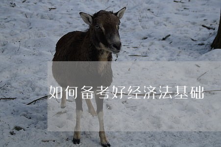 如何备考好经济法基础
